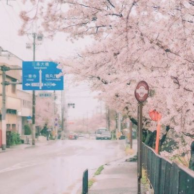 全球艺场瞩目香港 两大艺博齐齐开花