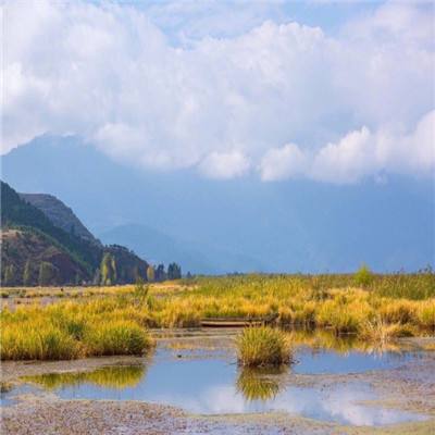 台风过境后：上海各景区陆续开放 邮轮陆续靠岸